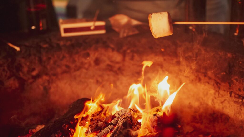 cooking marshmallows over an open fire